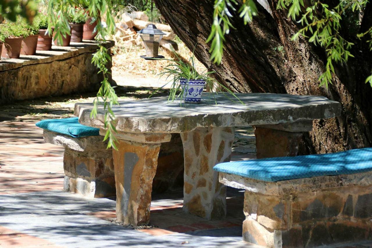 Molino Rodete Konuk evi Jimera de Líbar Dış mekan fotoğraf