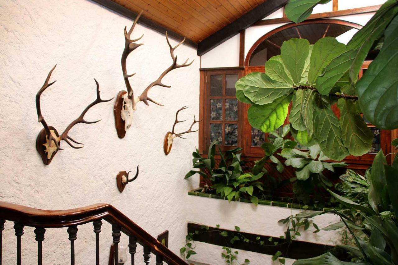 Molino Rodete Konuk evi Jimera de Líbar Dış mekan fotoğraf